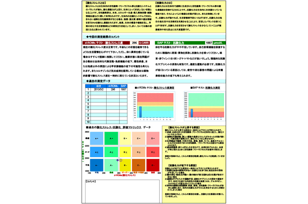 レポートのサンプル2